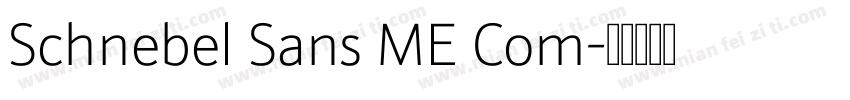 Schnebel Sans ME Com字体转换